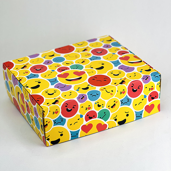 BOX SANTINO SMILE 30X25X10