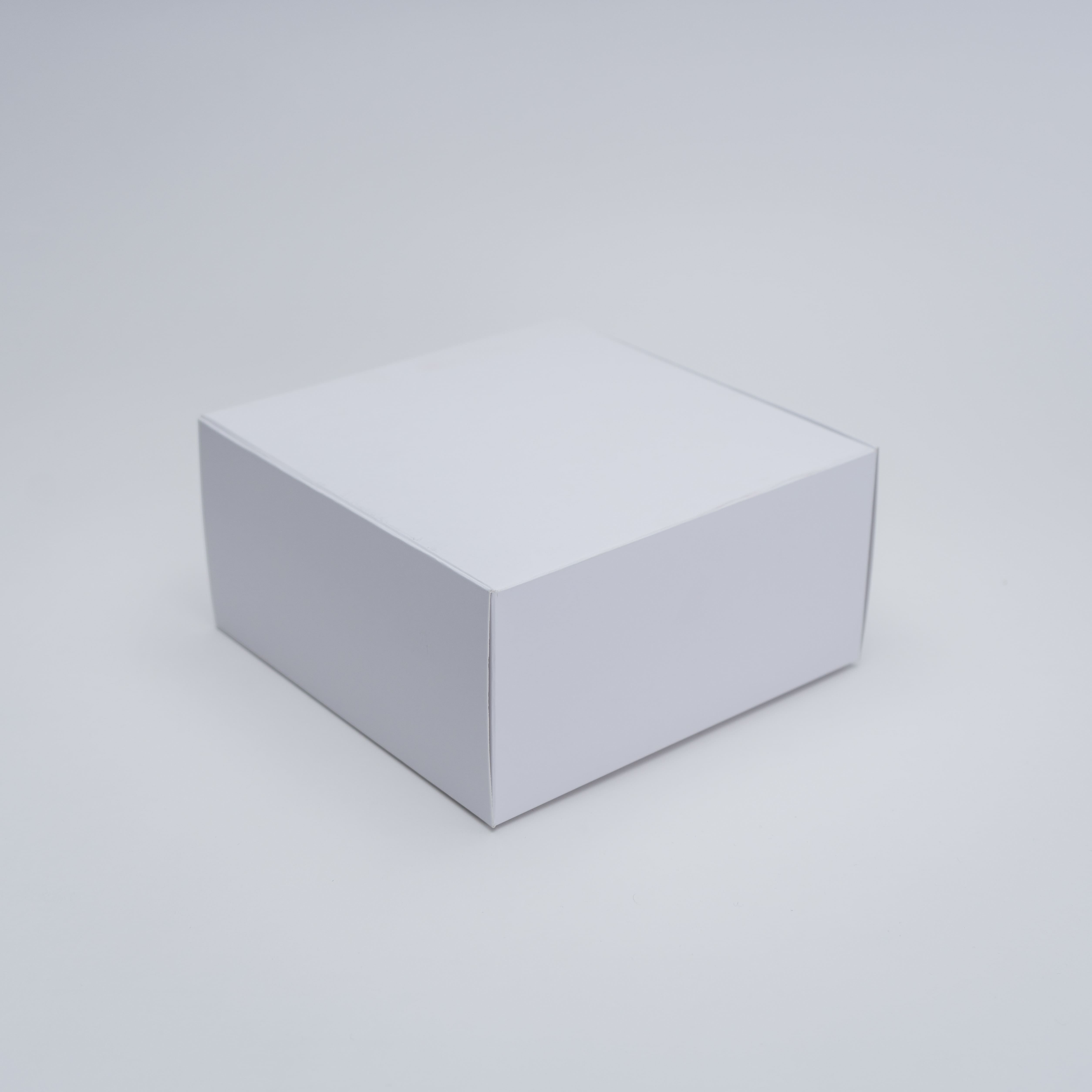Cubo basura extraíble Inox BOX 21 L - Mas Masiá